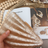 Seashell Acrylic Bag