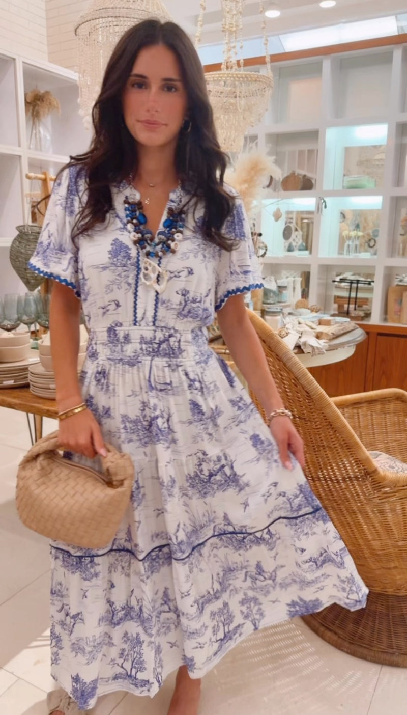 Coastal cowgirl farm toile dress