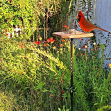 Feed the Birds Reclaimed wood bird feeder